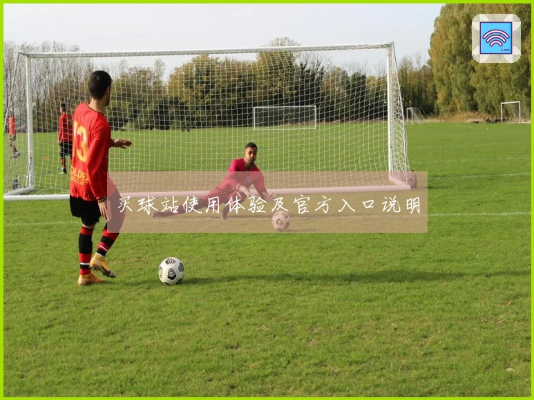 买球站使用体验及官方入口说明